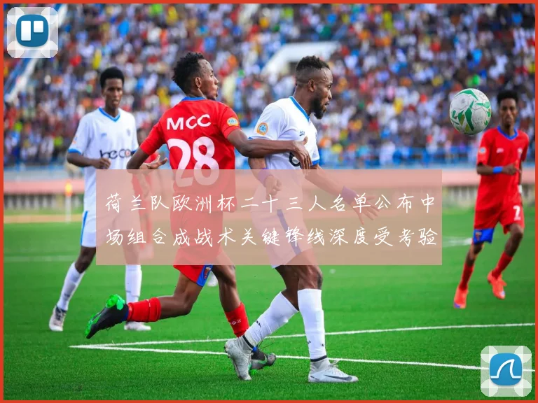 荷兰队欧洲杯二十三人名单公布中场组合成战术关键锋线深度受考验