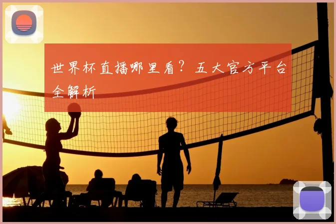 世界杯直播哪里看？五大官方平台全解析