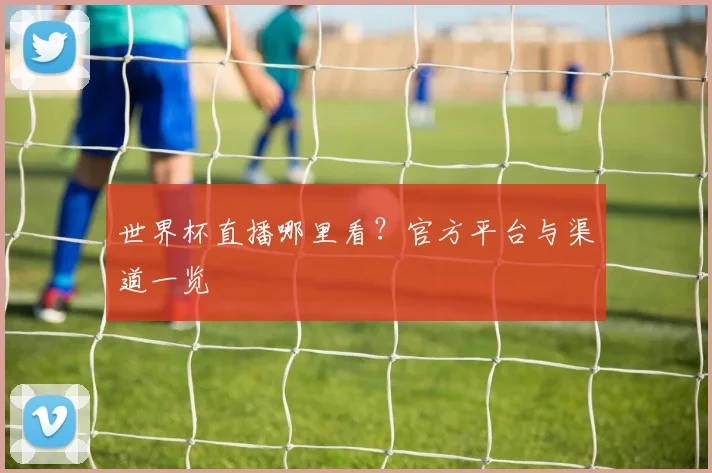 世界杯直播哪里看？官方平台与渠道一览