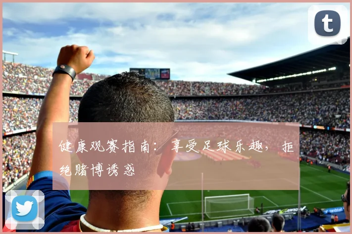健康观赛指南:享受足球乐趣,拒绝赌博诱惑