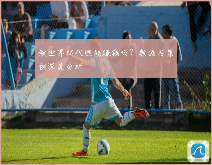 做世界杯代理能赚钱吗？数据与案例深度分析