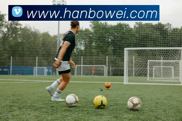 抓饭体育官方网站发展历程